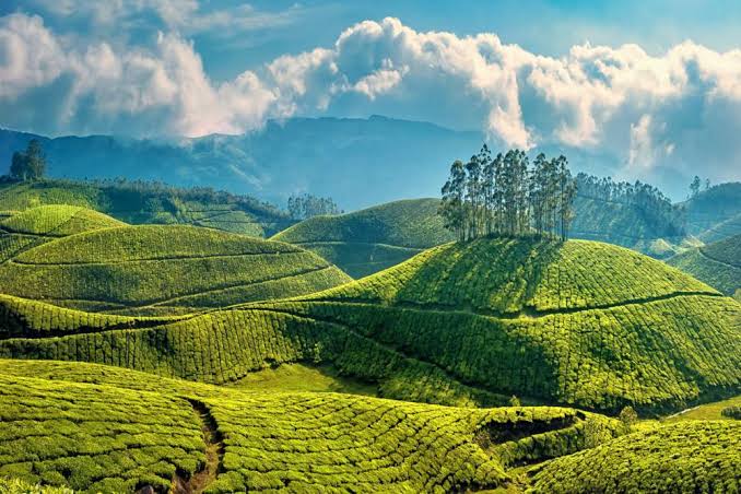  must visit points in munnar